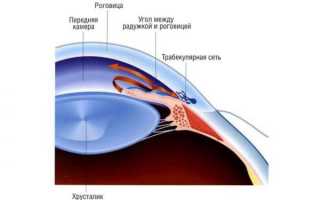 Бринзопт – аналоги и инструкция по применению глазных капель
