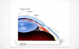 Полинадим: инструкция по применению и для чего назначают глазные капли