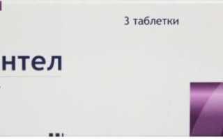 Прием Пирантела: как рассчитать дозировку для собак и кошек