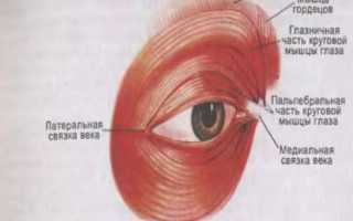 Блефароспазм: причины и симптомы, лечение спазмов глаза